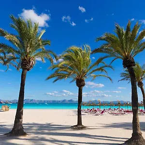 https://coral-manacor.balearic-islands.net